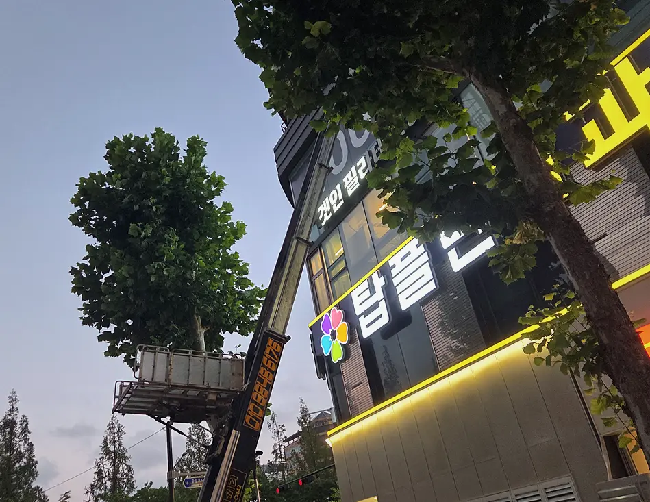 서울 중구 화재청소 업체 현장 시공 실사