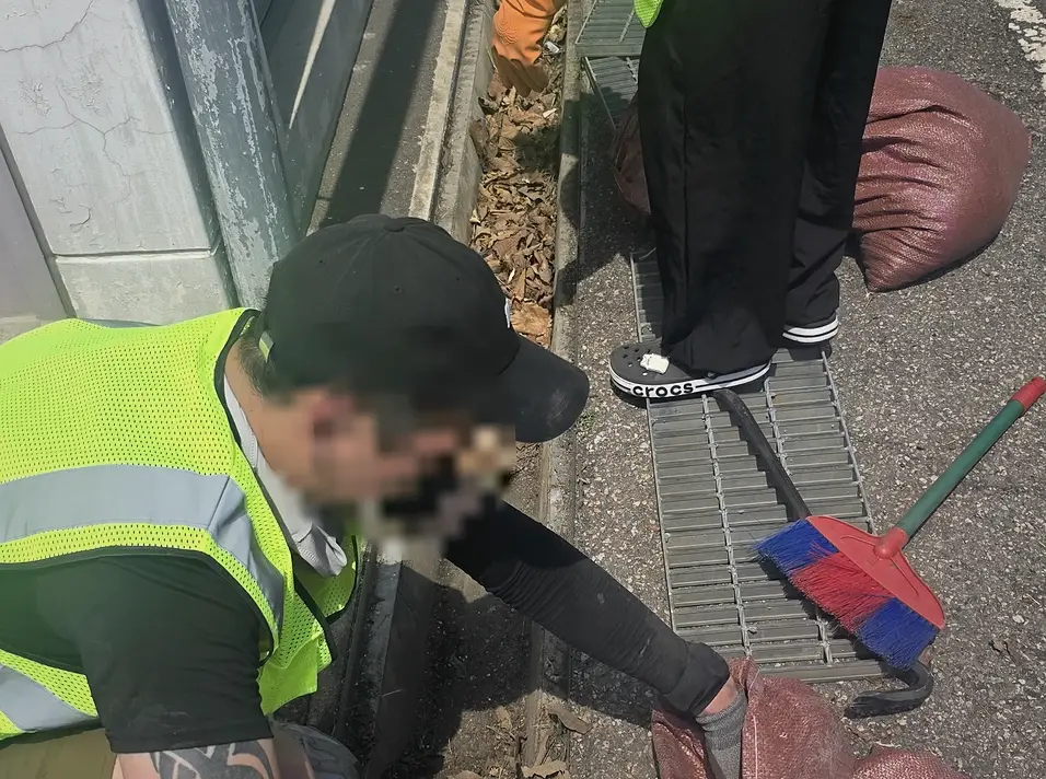 종로구 쓰레기집청소 비용 유품정리·고독사 현장